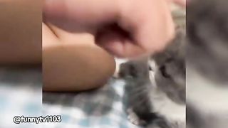 Cat: Take a step back. The more I think about it, the angrier I get.