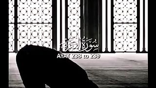 surah_al_baqarah_????❤️_with_urdu_translation_whatsapp_status___#ayat_238_239_#tdhwrites_#status(360p). Upload