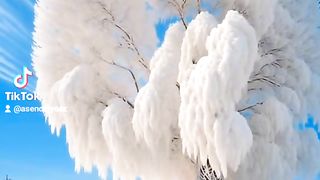 Snowing 5