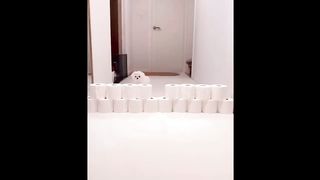 Cute Baby Animals Videos Compilation | Funny and Cute Moment of the Animals #1 - Cutest Animals 2023 2