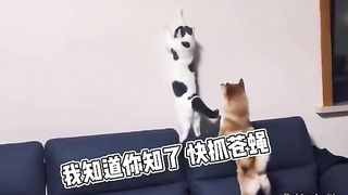 Animal World Funny English Voiceover Dog Can you handle it, or should I take over