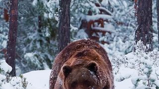 Борись за жизнь
