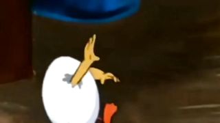 Tom jerry lucu