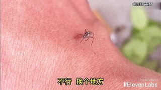 Animal World Funny English Voiceover Mosquito I've never been so speechless in my entire life!