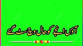 Viral video #saraiki song 6