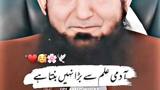 مولانا طارق جمیل ❤️ #CapCut #foryou #foryou #foryoupage #bayyan #Allah #islamic_video #grow #account 2