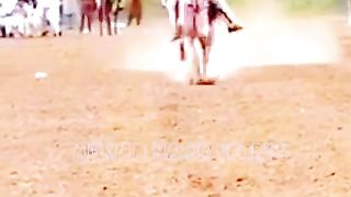 #horse #horselover #nezabazi #pakistan #mianwali #foryoupage #niazi #foryou #noorniazi786#ahmad#horse#power 4