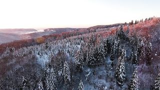 Vosges are very beautiful!