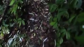 XXXII #camping #buscraft #viralvideo #viraldiefebspot
