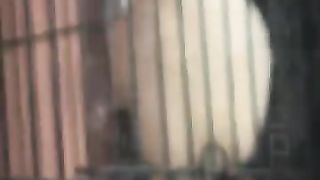 Animalitor 3