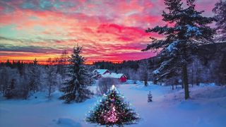 christmas_tree