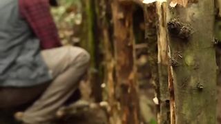 Build house in forest Lisa69
