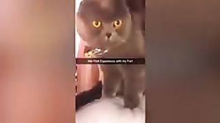 Hour funniest cats and dogs latest video 2023.????????