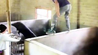 Приколи 580