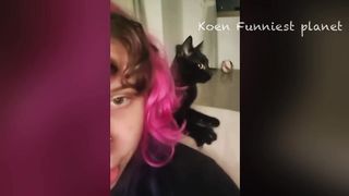 Funniest Dog And Cat Videos - Best Funny Animals Videos 2023????