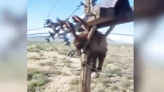 Привет  Каждый день в мире