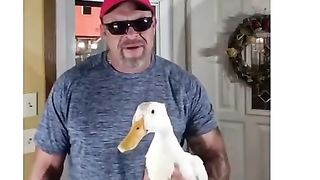 Memes I Found On The Internet #9