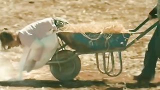 Dream Big  Full Screen Whatsapp Status