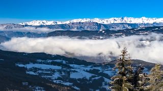 Fog Cold!