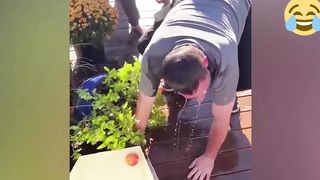 Best Funny Video, People Animals being funny, Try not to laugh