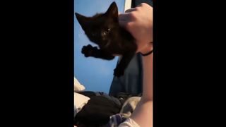 UNUSUAL MEMES COMPILATION V7