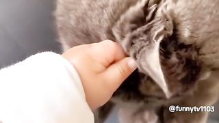 It’s a pet, it’s a family member