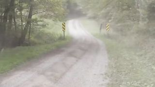 Rally 2
