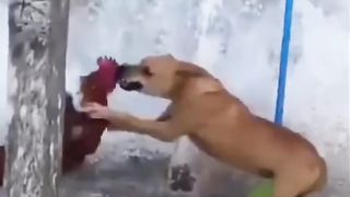 As coisas estão saindo do serio kkkkk