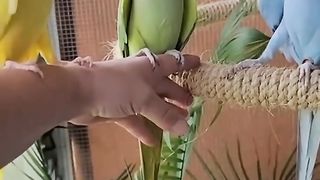 funny animals-clip 2023