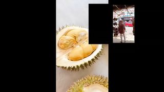 Indonesian durian fruit