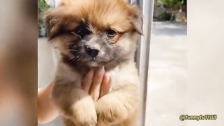 Who could say no to these cute little angels?