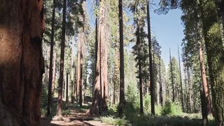 "Breathtaking Beauty: Nature's Symphony Across the USA"