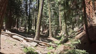 USA Up Close: A Cinematic Exploration 2