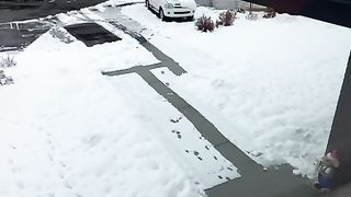 Snoww 2