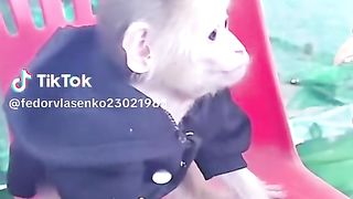 Приколи 583