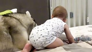 Приколи 584