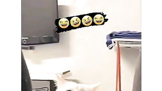 Dull ki aawaz