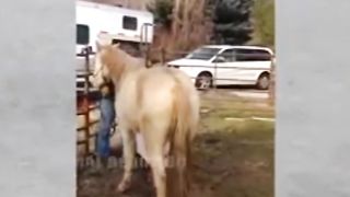 When Animals Go On A Rampage! Interesting Animal Moments CAUGHT ON CAMERA #4 3