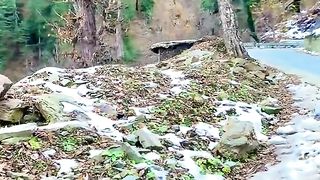 Zabar dasit video sung 7