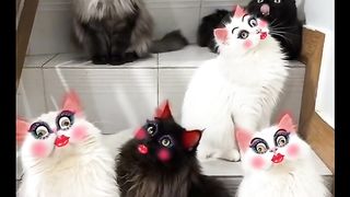 kumpulan janda cantik nunggu di jemput#fyp