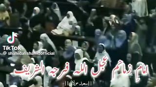 Ya Hassan 8
