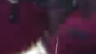 When Animals Go On A Rampage! Interesting Animal Moments