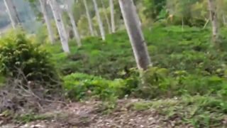 journey to the most beautiful place