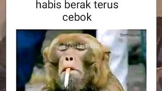 Bilek;