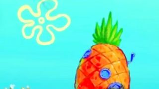 Squidward vs Transformers !!!