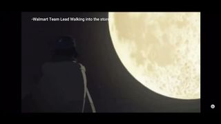 The Shadow Team Lead