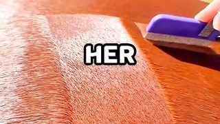 SATISFYING VIDEO