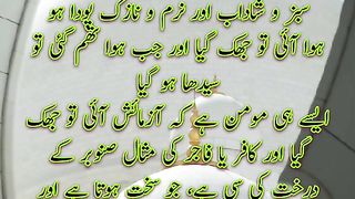 Momin Ki Misal | Hadees |  Quotes