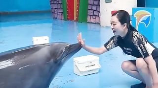 Dolphins love for girls