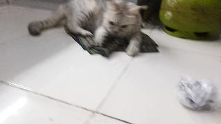 Lagi gak mood